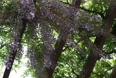 松尾神社(京都府)