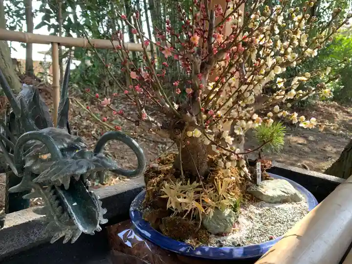 下野 星宮神社の手水舎