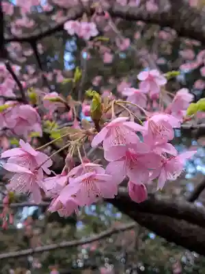 代々木八幡宮(東京都)