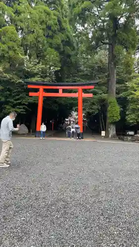 霧島神宮の鳥居