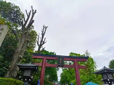 根津神社(東京都)