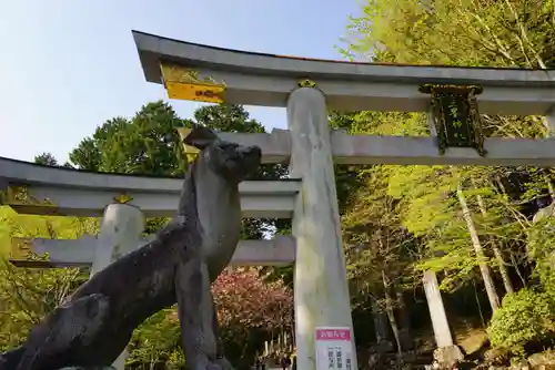 三峯神社(埼玉県)