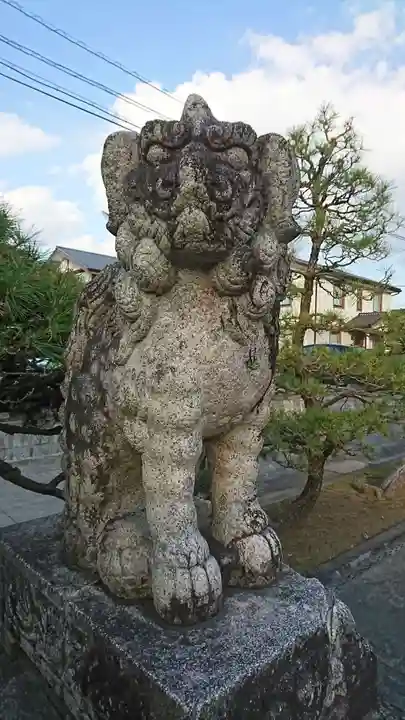 藤崎八旛宮の狛犬