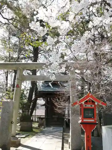 葛西神社の鳥居