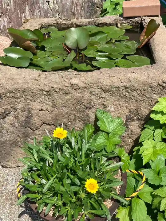 少林寺(神奈川県)