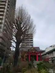 成子天神社の本殿