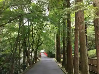 今熊野観音寺のその他建物