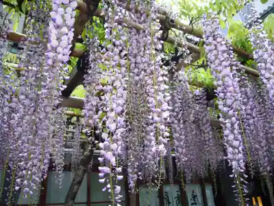 亀戸天神社の食事