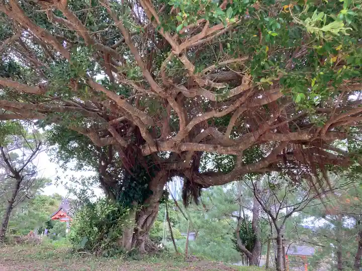 高千穂神社の自然