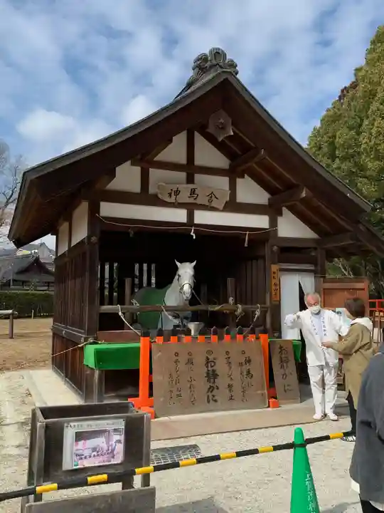 賀茂別雷神社(上賀茂神社)(京都府)