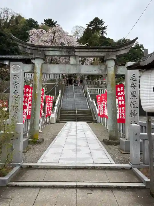 毛谷黒龍神社の{uncategorized: "未分類", other: "その他", undefined: "問題あり", building: "その他建物", grave: "お墓", sacred_gate: "鳥居", guardian: "狛犬", statue: "像", buddha: "仏像", history: "歴史", nature: "自然", garden: "庭園", animal: "動物", pagoda: "塔", temizu: "手水舎", mountain_gate: "山門・神門", sanctuary: "本殿・本堂", subordinate: "末社・摂社", art: "芸術", scenery: "景色", jizo: "地蔵", ema: "絵馬", goshuin: "御朱印", omikuji: "おみくじ", items: "授与品その他", amulet: "お守り", goshuincho: "御朱印帳", eats: "食事", festival: "お祭り", votive_dance: "神楽", shichigosan: "七五三参", wedding: "結婚式", experience: "体験その他", initially: "初詣", around: "周辺", anti_infection: "感染症対策"}