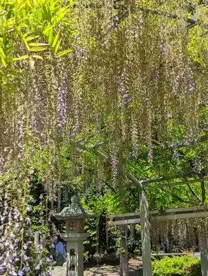 三大神社(滋賀県)