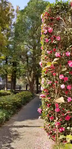 北野神社の自然