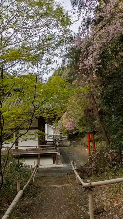 宝積寺(京都府)