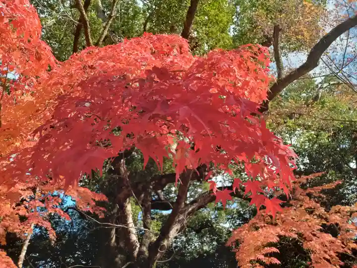 壺井八幡宮(大阪府)