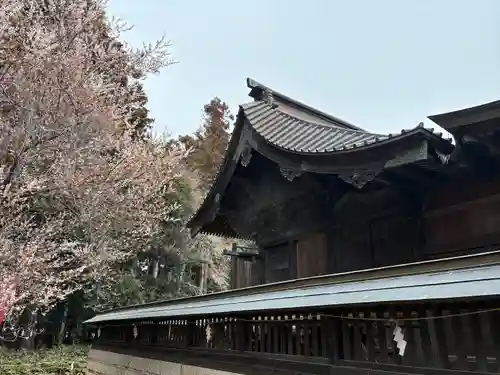 長沼八幡宮(栃木県)