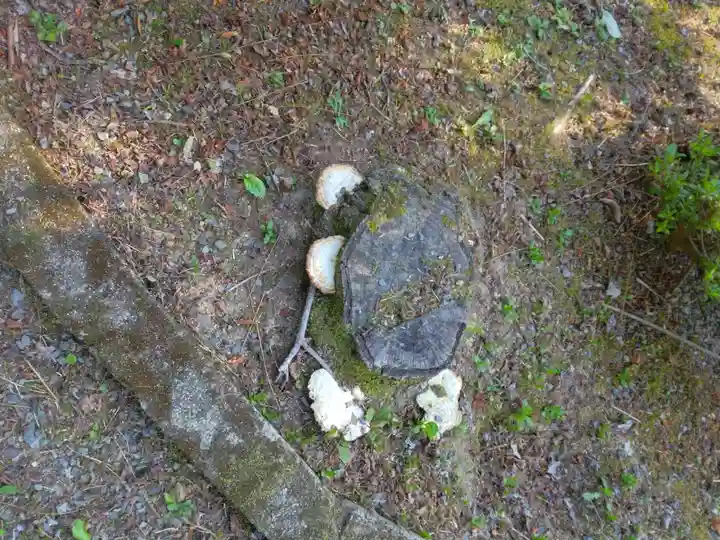 大善寺(兵庫県)