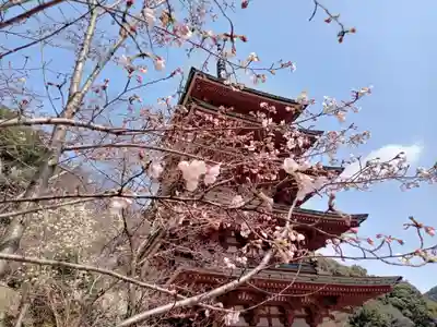 長谷寺(奈良県)