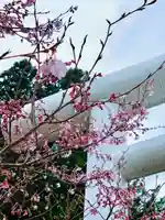 土津神社|こどもと出世の神さまの自然