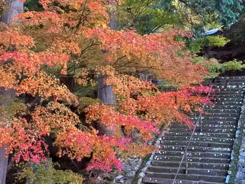 明通寺(福井県)