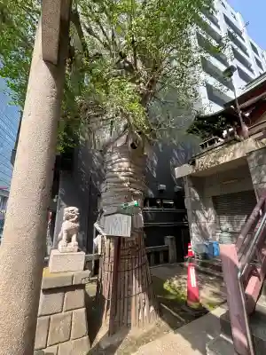 誕生八幡神社(東京都)