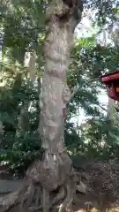 鹿島神社の建物その他