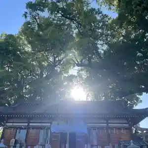 阿保神社(大阪府) 2026年05月18日(月)〜(2026年05月10日(日) 18時00分42秒投稿)