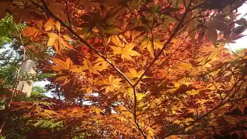下野國一社八幡宮(栃木県)