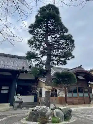 大林寺の{uncategorized: "未分類", other: "その他", undefined: "問題あり", building: "その他建物", grave: "お墓", sacred_gate: "鳥居", guardian: "狛犬", statue: "像", buddha: "仏像", history: "歴史", nature: "自然", garden: "庭園", animal: "動物", pagoda: "塔", temizu: "手水舎", mountain_gate: "山門・神門", sanctuary: "本殿・本堂", subordinate: "末社・摂社", art: "芸術", scenery: "景色", jizo: "地蔵", ema: "絵馬", goshuin: "御朱印", omikuji: "おみくじ", items: "授与品その他", amulet: "お守り", goshuincho: "御朱印帳", eats: "食事", festival: "お祭り", votive_dance: "神楽", shichigosan: "七五三参", wedding: "結婚式", experience: "体験その他", initially: "初詣", around: "周辺", anti_infection: "感染症対策"}