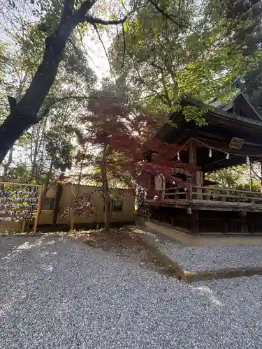 星宮神社の{uncategorized: "未分類", other: "その他", undefined: "問題あり", building: "その他建物", grave: "お墓", sacred_gate: "鳥居", guardian: "狛犬", statue: "像", buddha: "仏像", history: "歴史", nature: "自然", garden: "庭園", animal: "動物", pagoda: "塔", temizu: "手水舎", mountain_gate: "山門・神門", sanctuary: "本殿・本堂", subordinate: "末社・摂社", art: "芸術", scenery: "景色", jizo: "地蔵", ema: "絵馬", goshuin: "御朱印", omikuji: "おみくじ", items: "授与品その他", amulet: "お守り", goshuincho: "御朱印帳", eats: "食事", festival: "お祭り", votive_dance: "神楽", shichigosan: "七五三参", wedding: "結婚式", experience: "体験その他", initially: "初詣", around: "周辺", anti_infection: "感染症対策"}