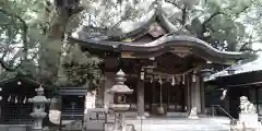 春日神社の本殿