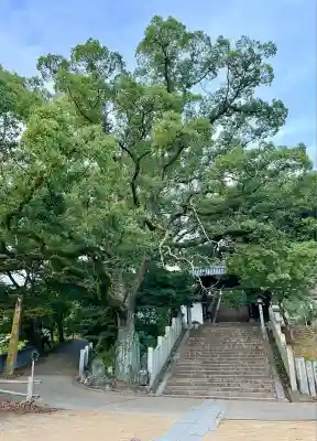 東雲神社(愛媛県)
