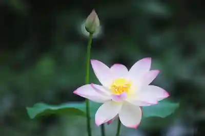 浄土寺(兵庫県)