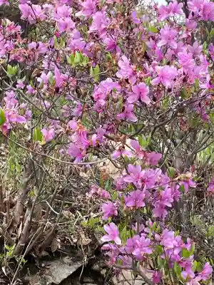 牛窓神社(岡山県)