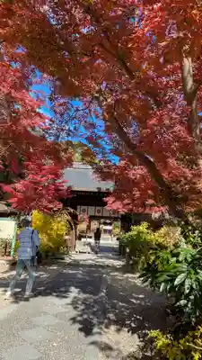 梨木神社(京都府)