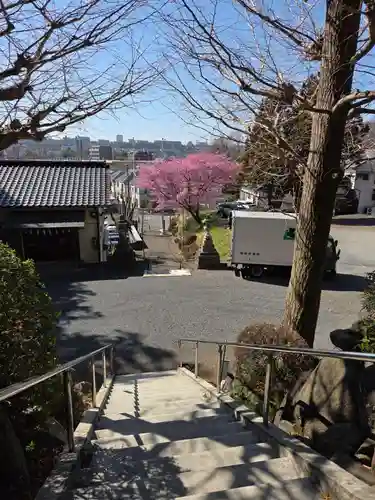 十二神社(東京都)