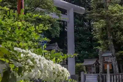 白山比咩神社のその他建物