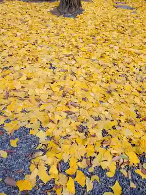 阿邪訶根神社(福島県)