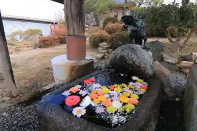 大鏑神社の手水舎