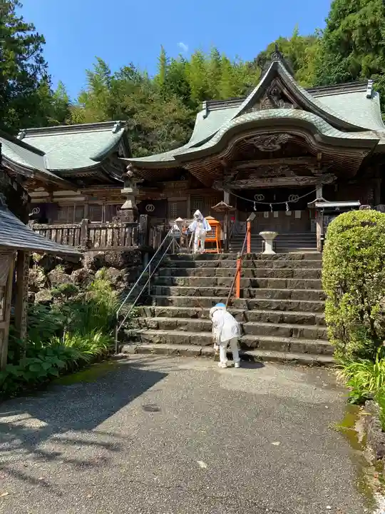 清滝寺の本殿・本堂