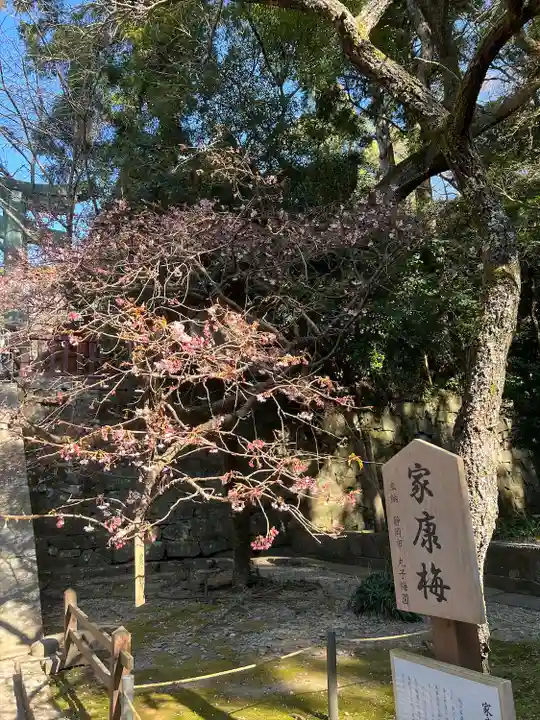 久能山東照宮(静岡県)
