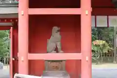 香取神宮の狛犬