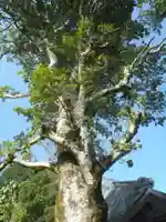 易往寺(愛知県)