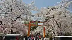 平野神社の鳥居