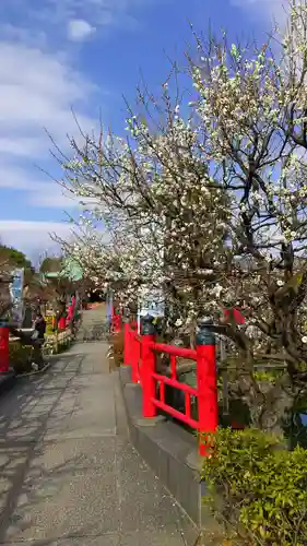 亀戸天神社のその他建物