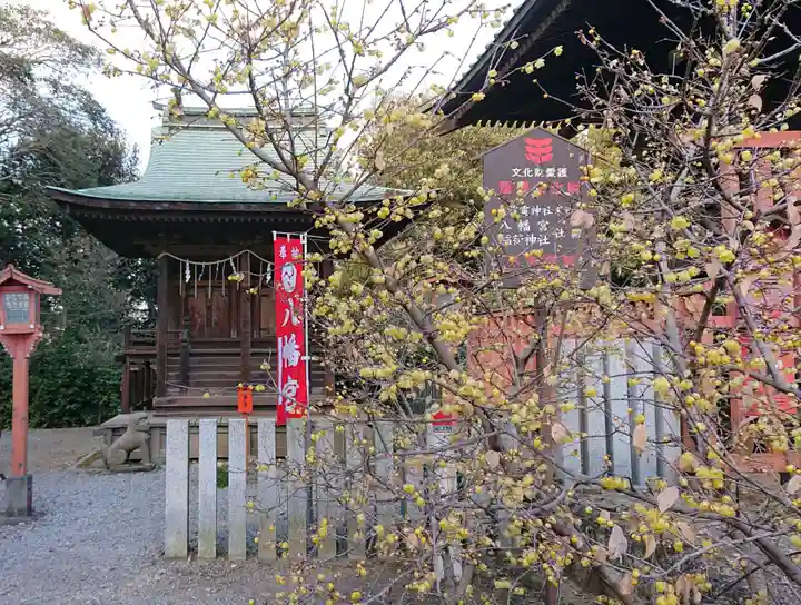 板倉雷電神社(群馬県)