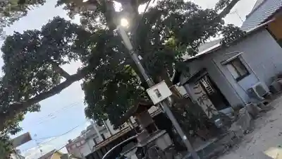 櫟谷七野神社(京都府)