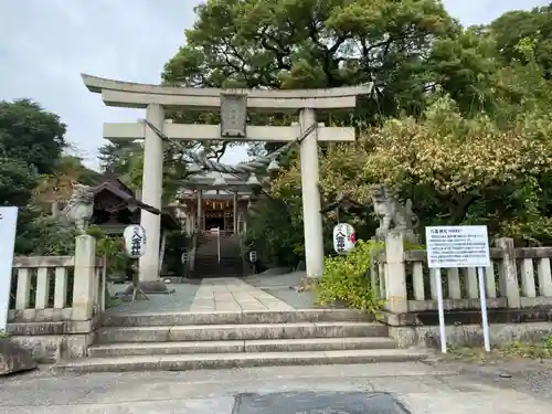 八雲神社(緑町)の御朱印