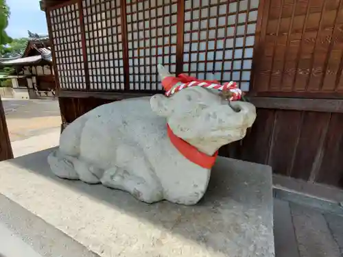曽根天満宮の狛犬