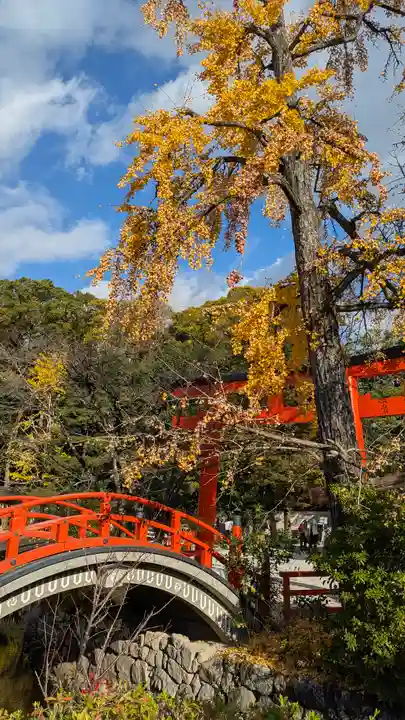 賀茂御祖神社(下鴨神社)(京都府)